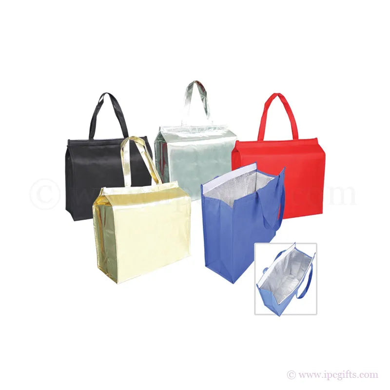 Affordable Collapsible Cooler