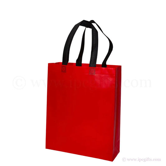 Document Sized Non Woven Bag with Black Handle