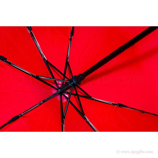 Handy Travel Umbrella with Auto Open Feature